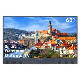 SYLVOX 65inch Outdoor TV, All-in-one Android Smart TV With Audio System, 4K UHD1000 Nits Partial Sun Outdoor Television, IP55Waterproof (Garden Series