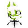 Video Game Chair for Adults, Gaming Chair Office Chair with Handrail, Adjustable Height Gamer Chair for Kids, Comfortable Computer Chair with Wheels,